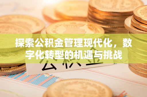 翁源探索公积金管理现代化，数字化转型的机遇与挑战