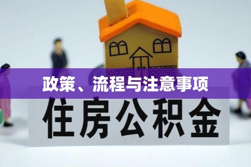 翁源政策、流程与注意事项