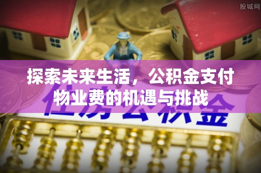 翁源探索未来生活，公积金支付物业费的机遇与挑战