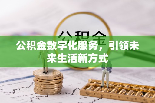 翁源公积金数字化服务，引领未来生活新方式
