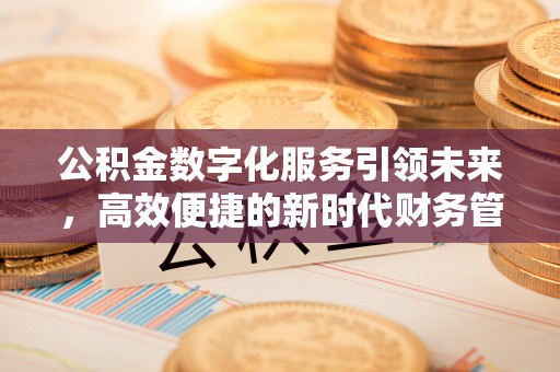 翁源公积金数字化服务引领未来，高效便捷的新时代财务管理