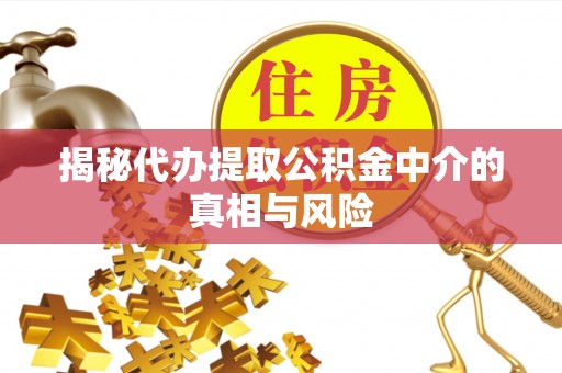 翁源揭秘代办提取公积金中介的真相与风险
