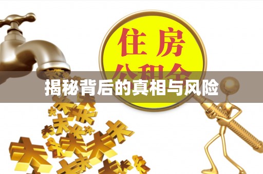 翁源揭秘背后的真相与风险