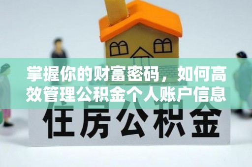 翁源掌握你的财富密码，如何高效管理公积金个人账户信息