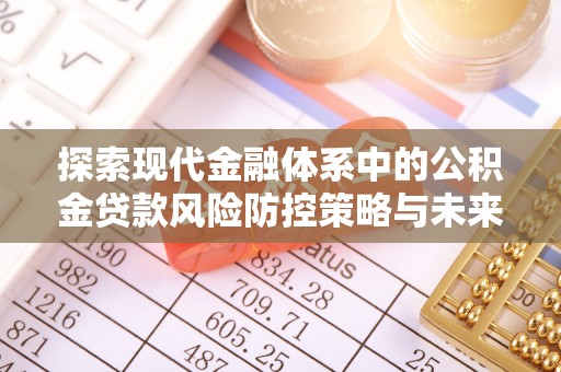 翁源探索现代金融体系中的公积金贷款风险防控策略与未来发展趋势