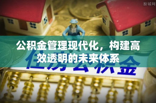 翁源公积金管理现代化，构建高效透明的未来体系