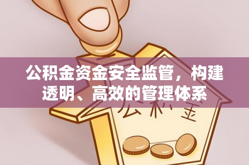 翁源公积金资金安全监管，构建透明、高效的管理体系