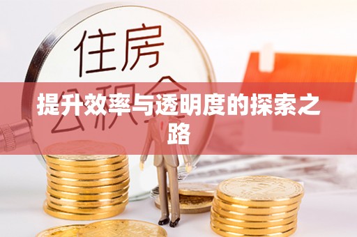翁源提升效率与透明度的探索之路