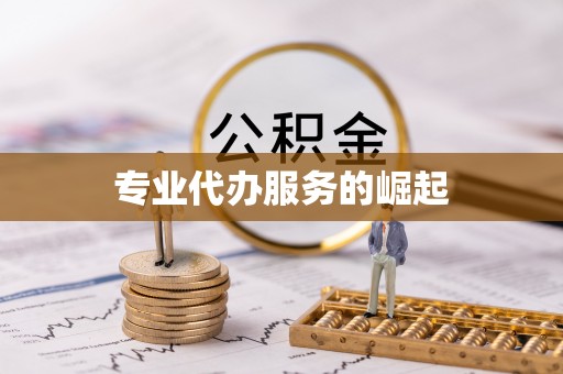 翁源专业代办服务的崛起