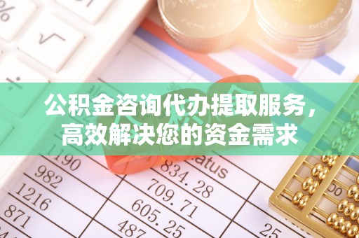 翁源公积金咨询代办提取服务，高效解决您的资金需求
