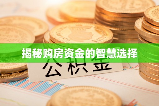 翁源揭秘购房资金的智慧选择