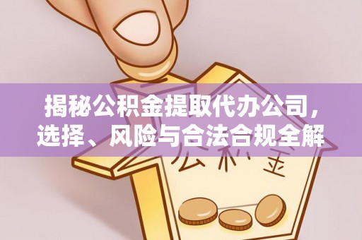 翁源揭秘公积金提取代办公司，选择、风险与合法合规全解析