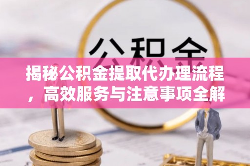 翁源揭秘公积金提取代办理流程，高效服务与注意事项全解析