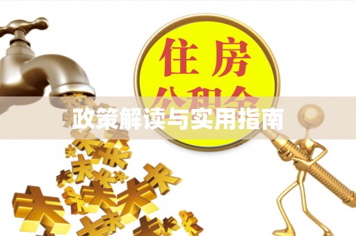 翁源政策解读与实用指南