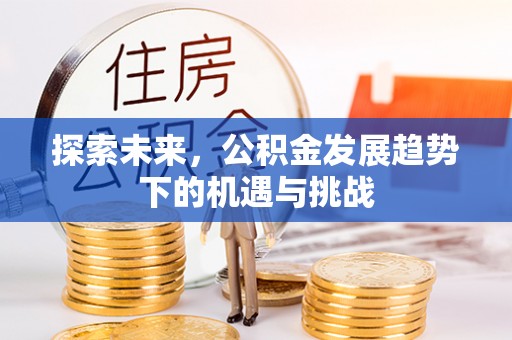 翁源探索未来，公积金发展趋势下的机遇与挑战
