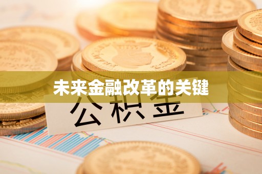 翁源未来金融改革的关键