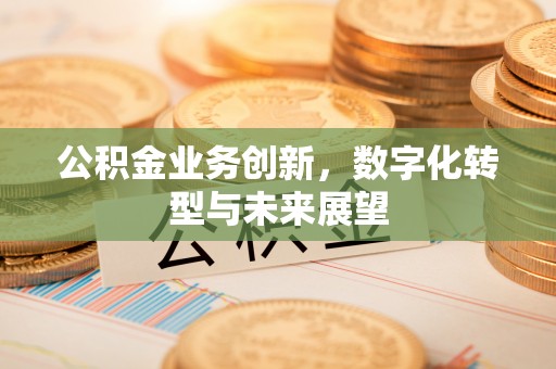 翁源公积金业务创新，数字化转型与未来展望