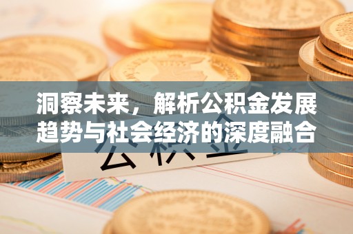 翁源洞察未来，解析公积金发展趋势与社会经济的深度融合