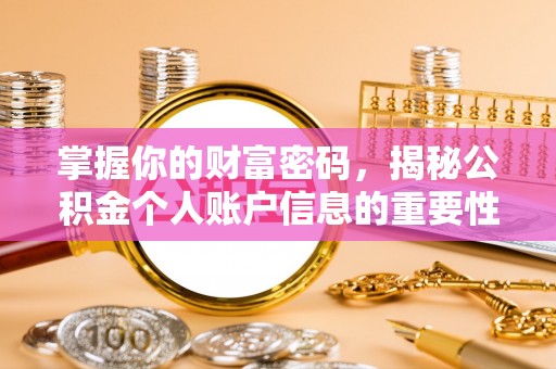 翁源掌握你的财富密码，揭秘公积金个人账户信息的重要性