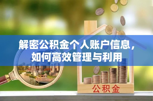 翁源解密公积金个人账户信息，如何高效管理与利用