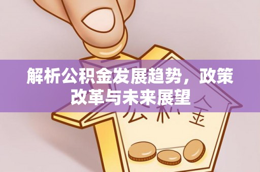 翁源解析公积金发展趋势，政策改革与未来展望