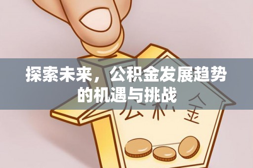 翁源探索未来，公积金发展趋势的机遇与挑战