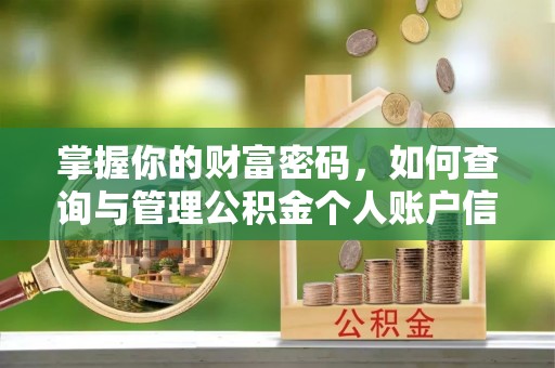 翁源掌握你的财富密码，如何查询与管理公积金个人账户信息