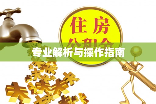 翁源专业解析与操作指南