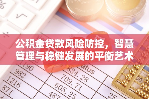 翁源公积金贷款风险防控，智慧管理与稳健发展的平衡艺术