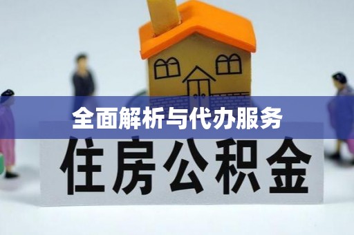 翁源全面解析与代办服务