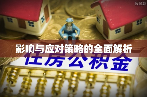 翁源影响与应对策略的全面解析