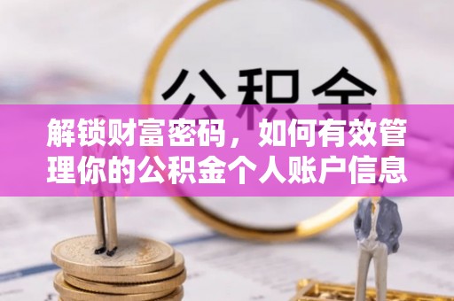翁源解锁财富密码，如何有效管理你的公积金个人账户信息