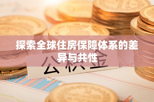 翁源探索全球住房保障体系的差异与共性