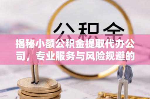翁源揭秘小额公积金提取代办公司，专业服务与风险规避的平衡艺术