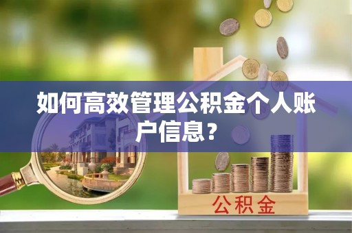 翁源如何高效管理公积金个人账户信息？