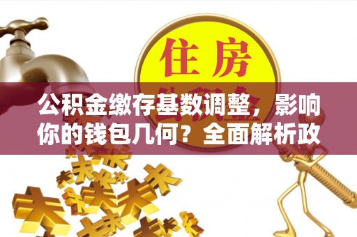 翁源公积金缴存基数调整，影响你的钱包几何？全面解析政策与实际收益
