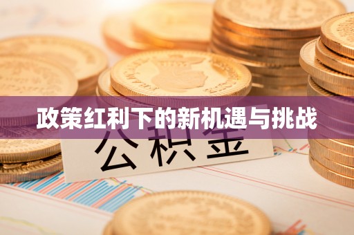 翁源政策红利下的新机遇与挑战