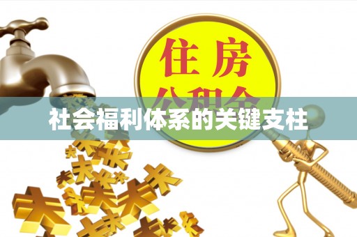 翁源社会福利体系的关键支柱
