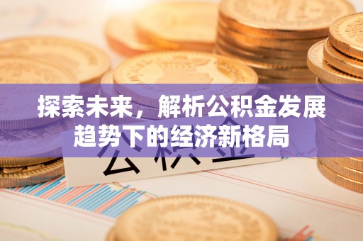 翁源探索未来，解析公积金发展趋势下的经济新格局