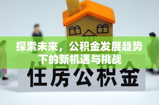 翁源探索未来，公积金发展趋势下的新机遇与挑战