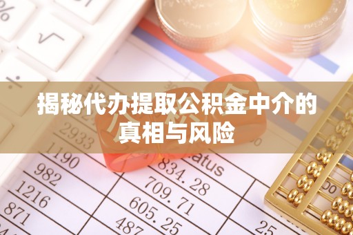 翁源揭秘代办提取公积金中介的真相与风险
