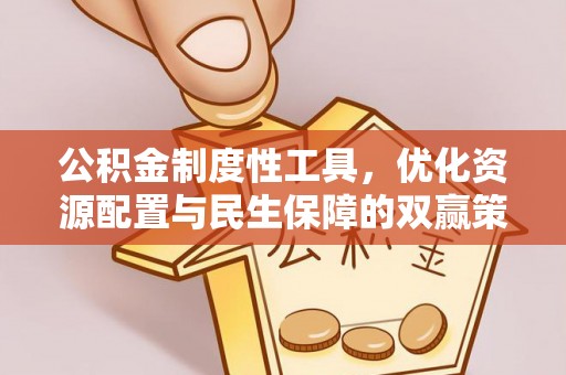 翁源公积金制度性工具，优化资源配置与民生保障的双赢策略