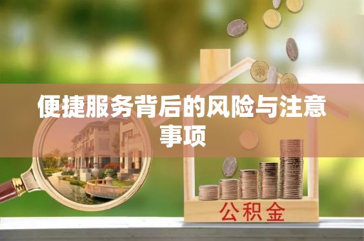 翁源便捷服务背后的风险与注意事项