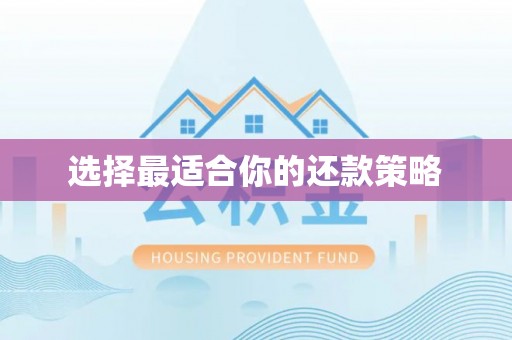 翁源选择最适合你的还款策略